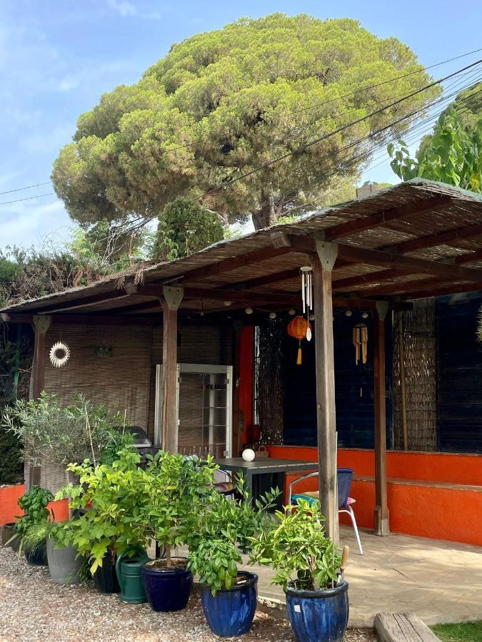 Palm Maresme - Suite With Bathroom And Terrasse With Ocean Views In A Private Villa Vilassar De Dalt Exterior foto