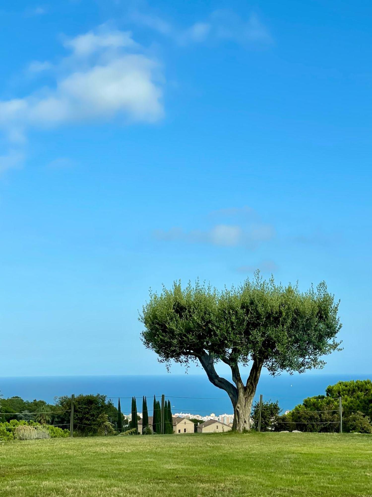 Palm Maresme - Suite With Bathroom And Terrasse With Ocean Views In A Private Villa Vilassar De Dalt Exterior foto